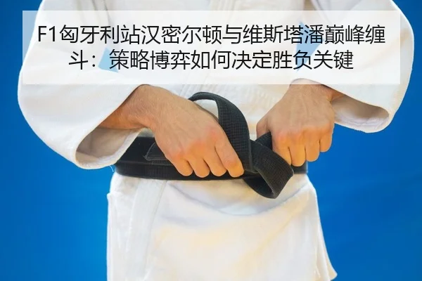 xiong-ya-li-zhan-han-mi-er-dun-yu-wei-si-ta-pan-dian-feng-chan-dou-ce-lve-bo-yi-ru-he-jue-ding-sheng-fu-guan-jian-2-470.jpg